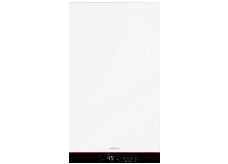 菲斯曼 Vitodens 100-C B1HG/B1JG（原装进口冷凝炉）